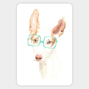 MJ Ibizan Hound Sticker